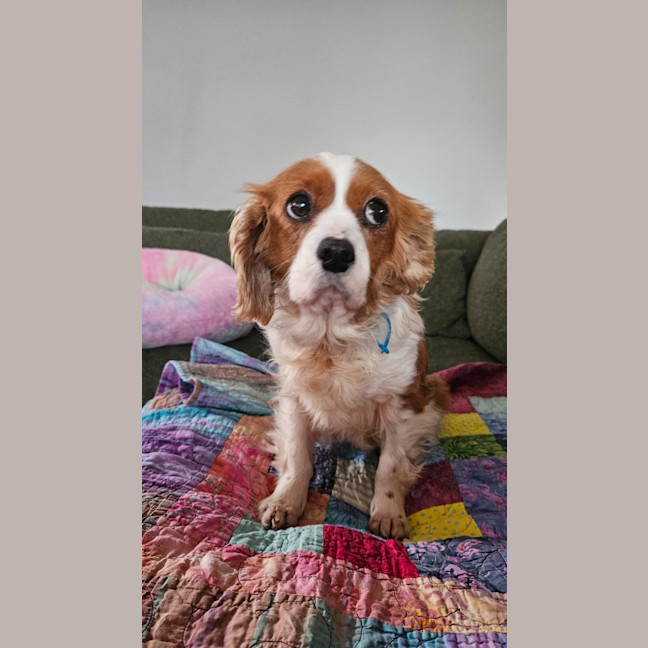 Photo of Lexi