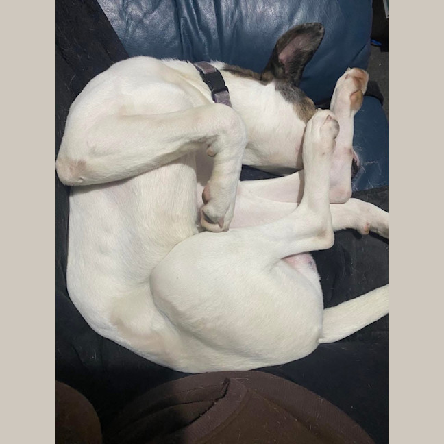 Photo of Jinkx Monsoon