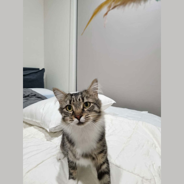 Photo of Sugar