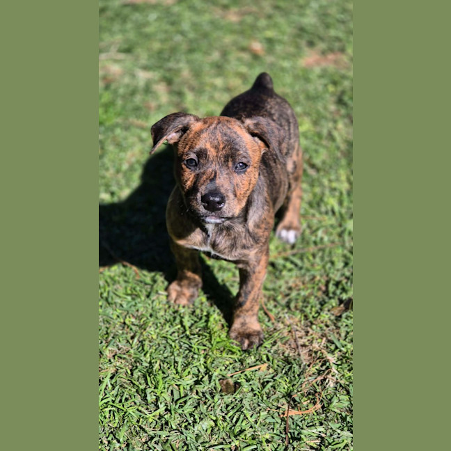 Photo of Spice