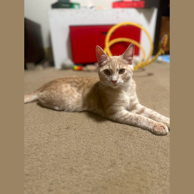 Photo of Champers