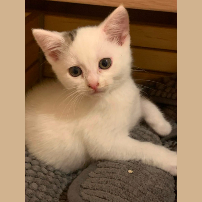 Photo of Brindabella