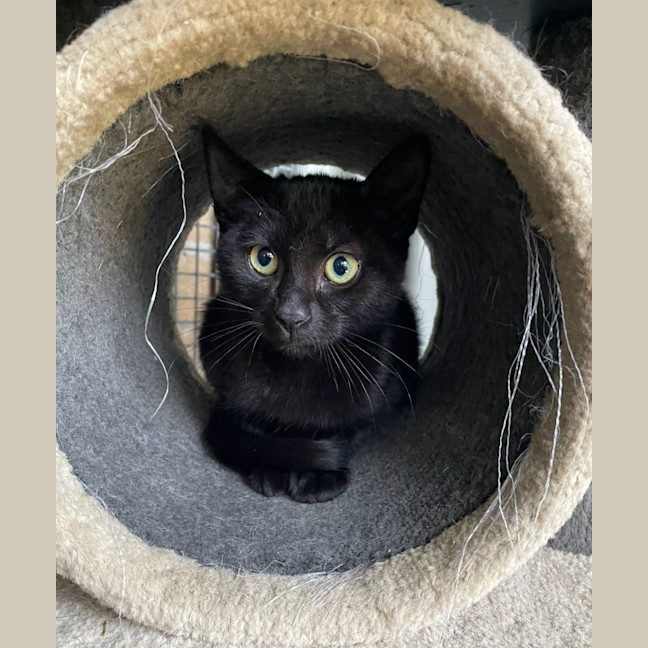 Photo of Hazel
