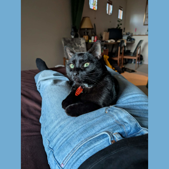 Photo of Kiko