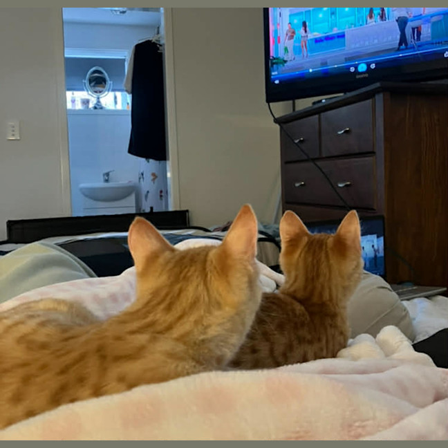 Photo of Rocco And Pablo 
