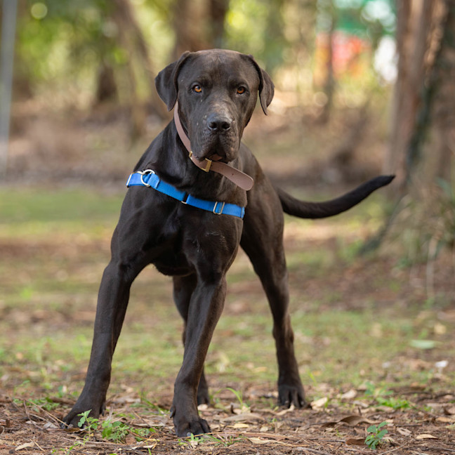 Photo of Jett