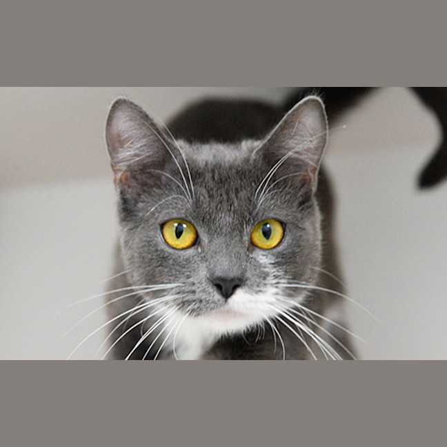 Photo of Nanette