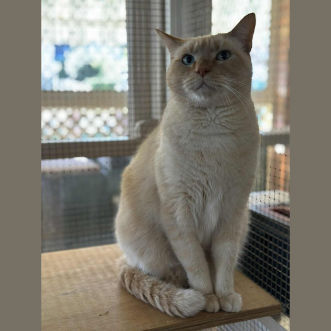 Photo of Jessie James