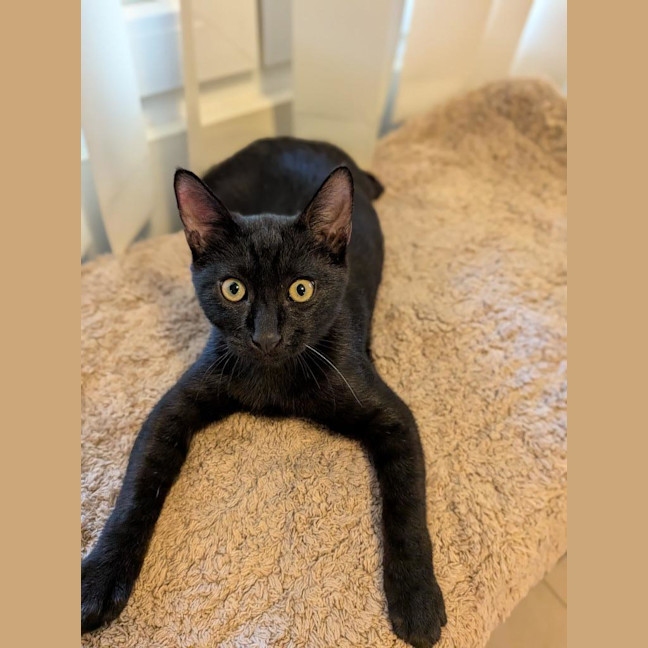 Photo of Hamish