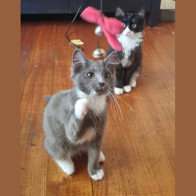 Photo of Llewelyn (Lou)