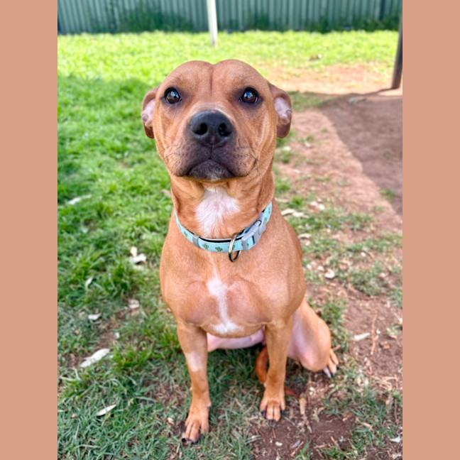Photo of Delilah