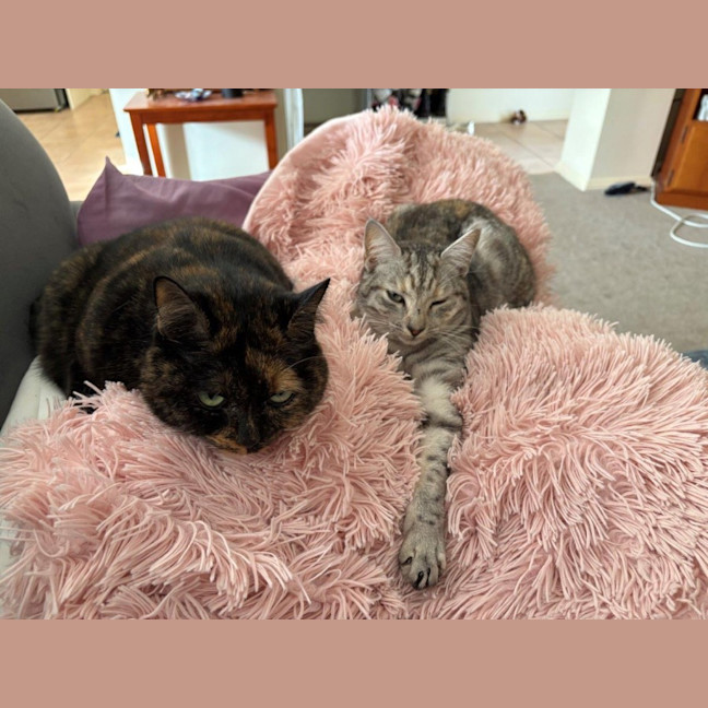 Photo of Arianna Quinnell