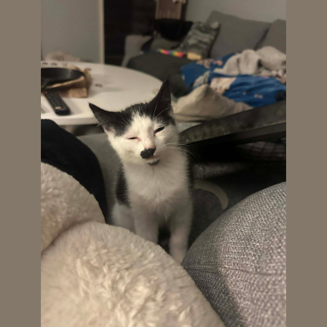 Photo of Tuna