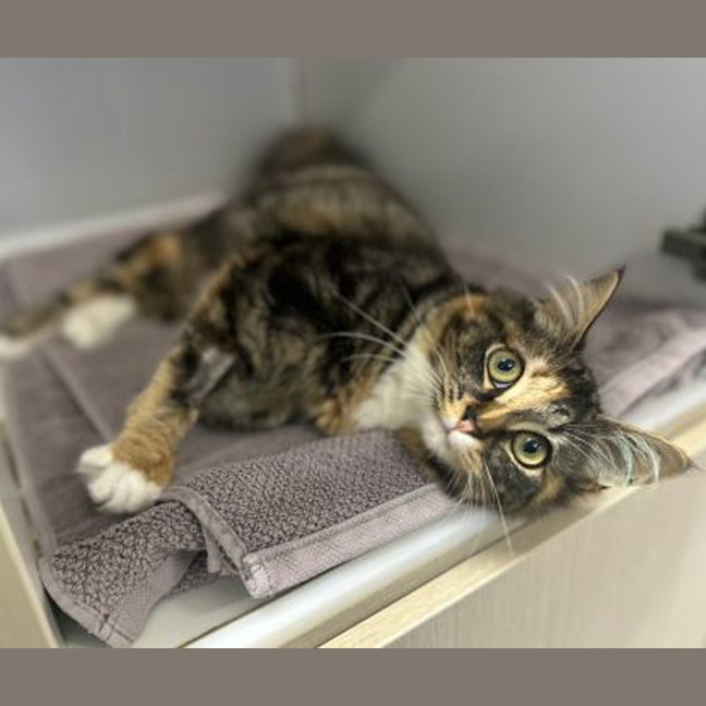Photo of Evie