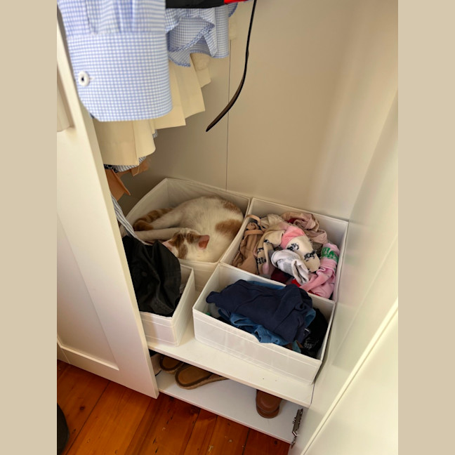 Photo of Russ ( Lazerus )