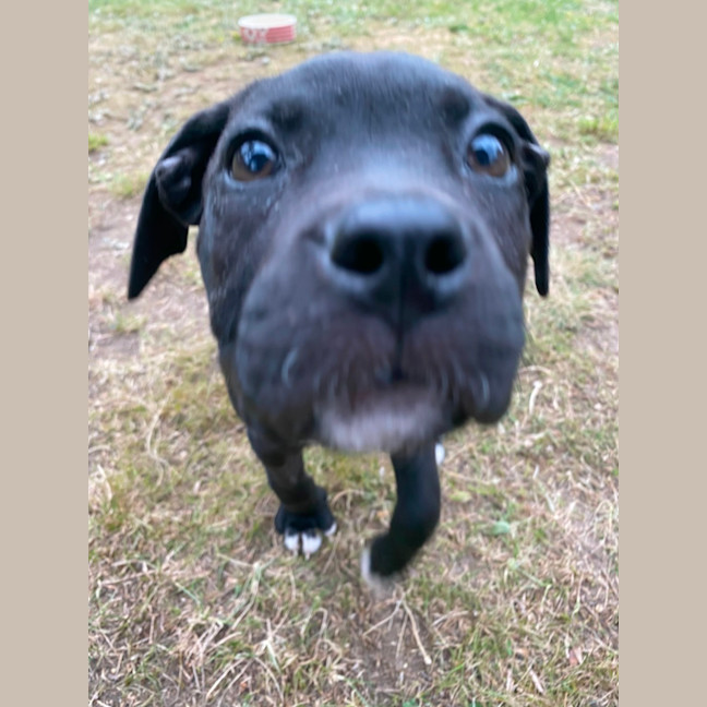 Photo of Penny Lane