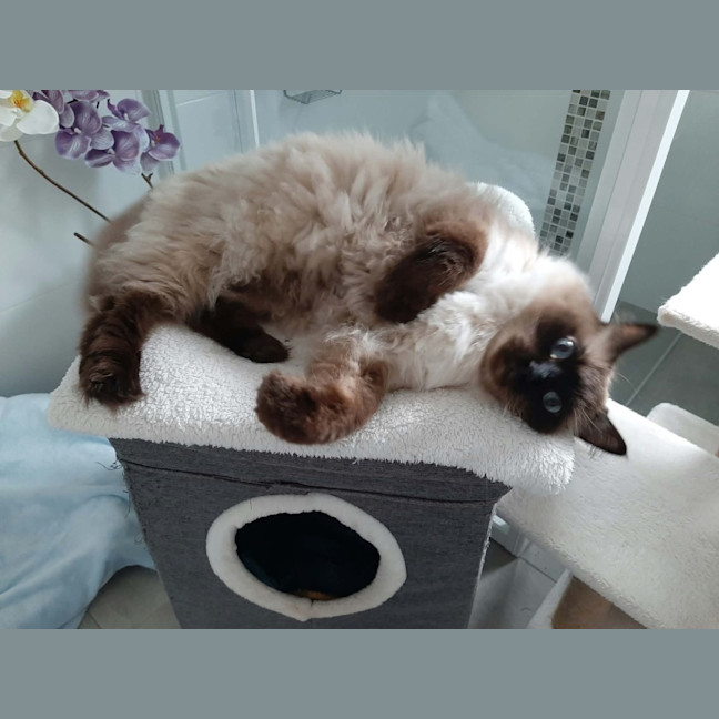 Photo of Oliver