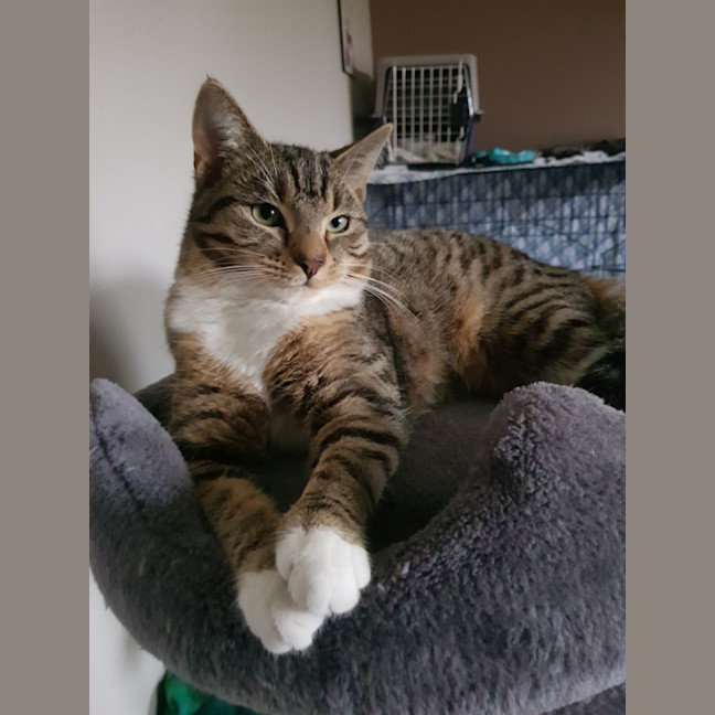 Photo of Luna