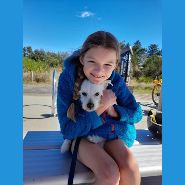 Photo of Gus   11 Year Old Jack Russell X