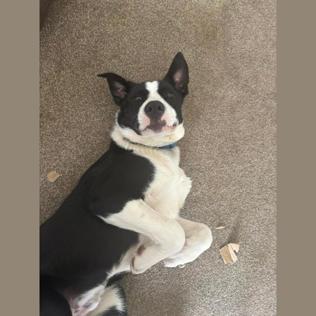 Photo of Maynard