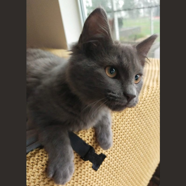 Photo of Denim