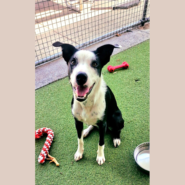 Photo of D1210 Salty