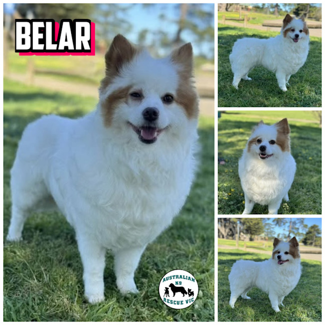 Photo of Belar 