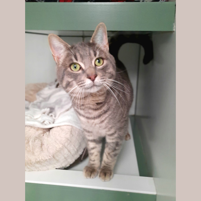Photo of Dusty