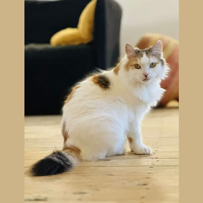 Photo of 💛Cassie💛