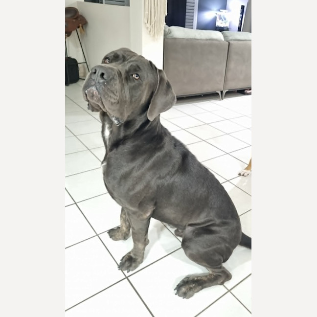 Photo of Clifford