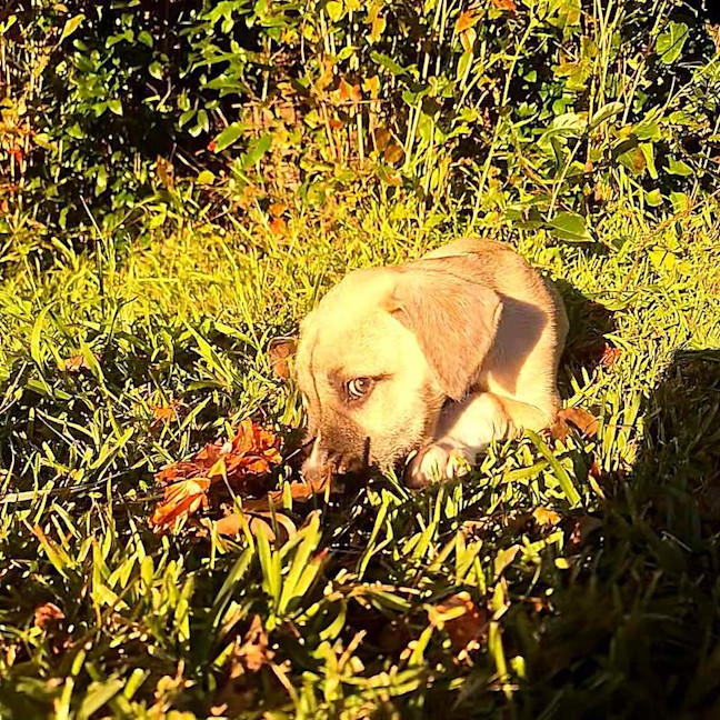 Photo of Theodore