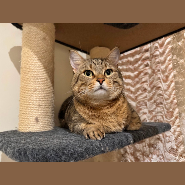 Photo of Nueve (Nui)