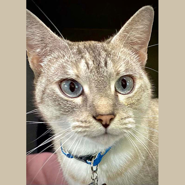 Photo of Missy