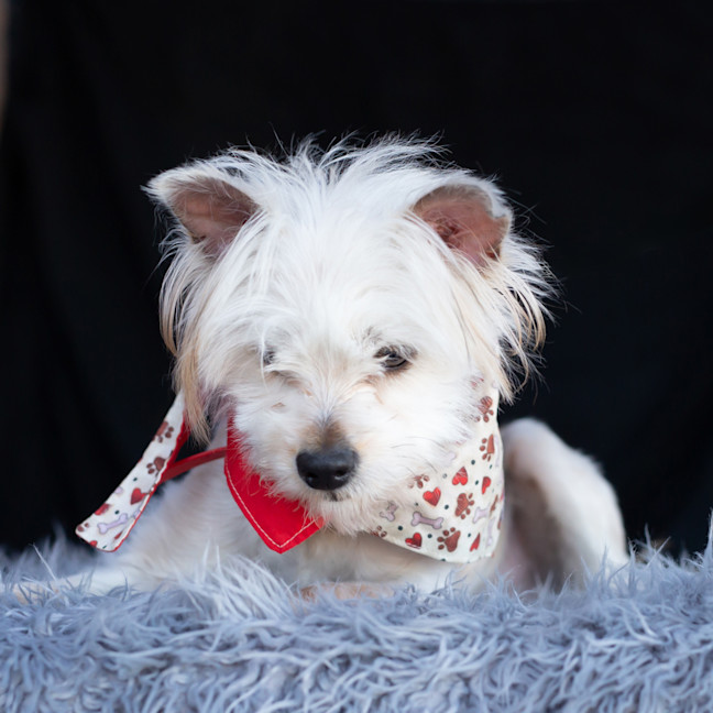 Photo of Jack Sprout