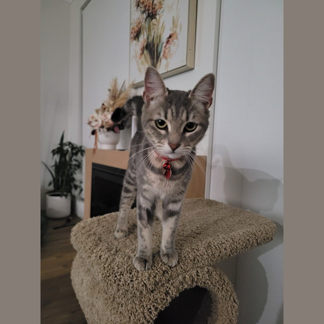 Photo of Nora