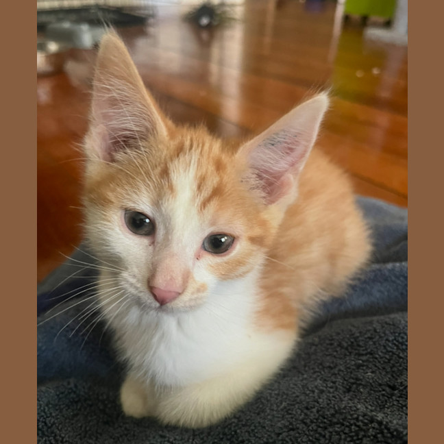 Photo of Charlie
