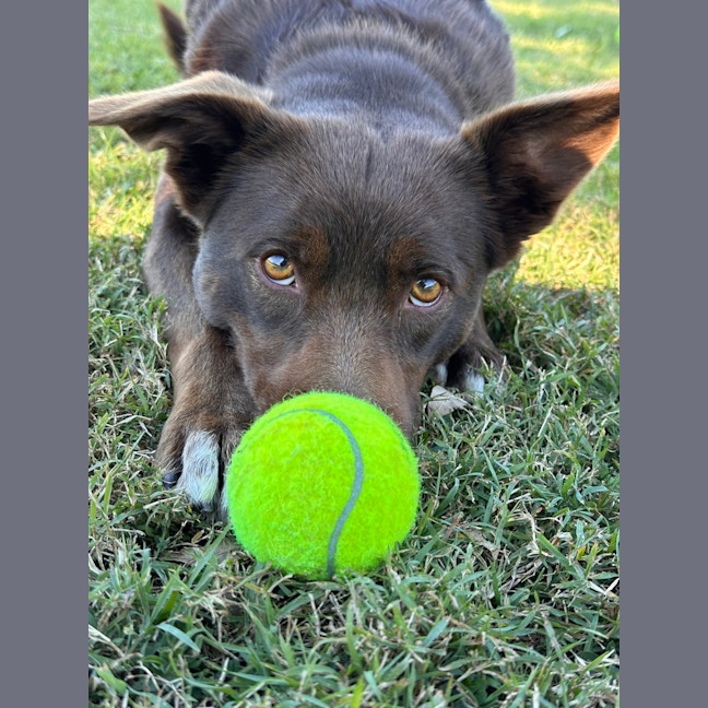 Photo of Mila