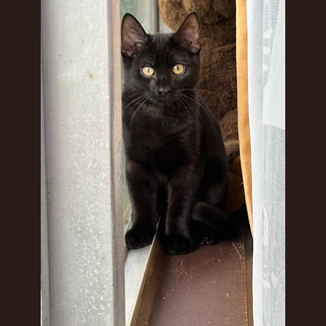 Photo of Milo