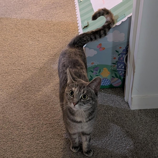 Photo of Luna