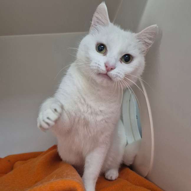 Photo of Lumi 