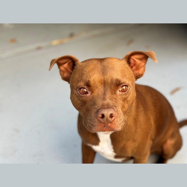 Photo of Randall Bulleau