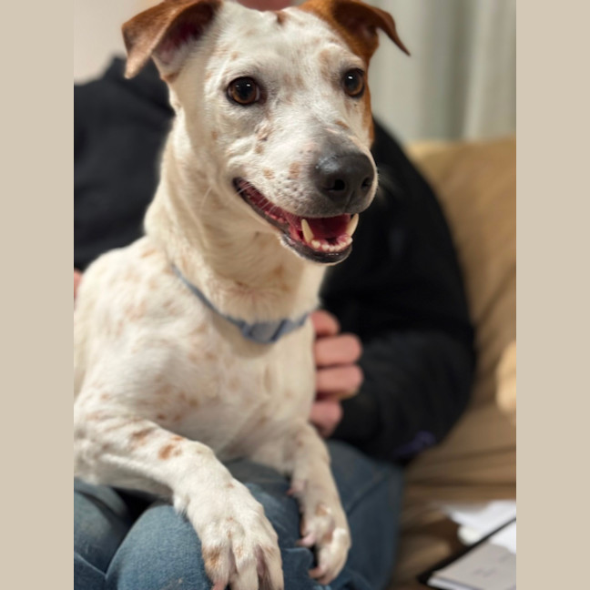 Photo of Coco