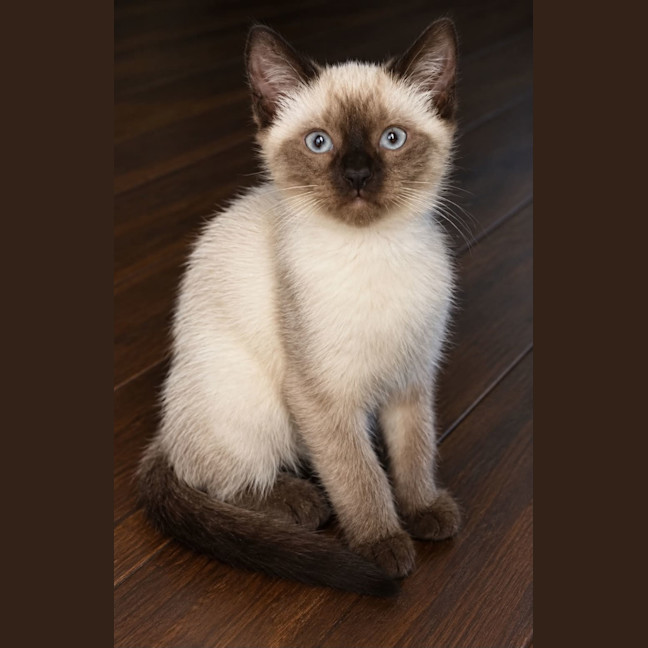 Photo of Valmae