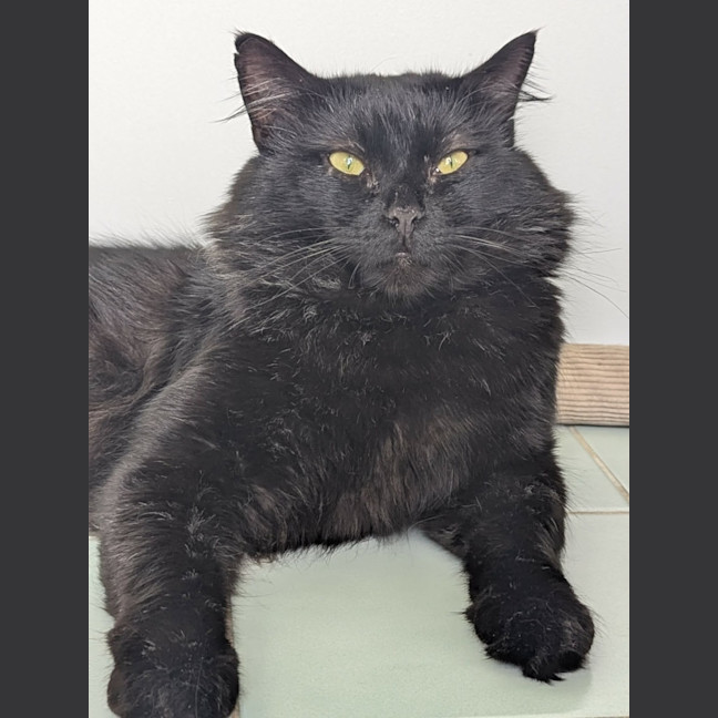 Photo of Big Boy