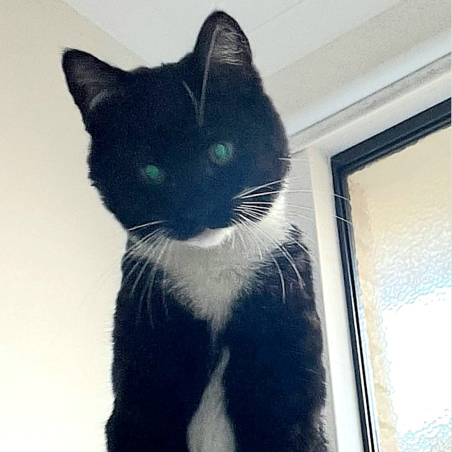 Photo of Leroy