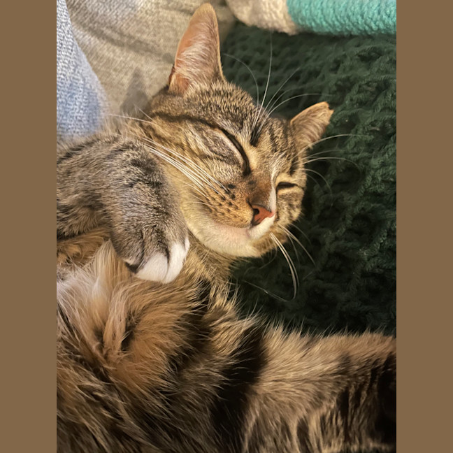 Photo of Alexa & Cindy