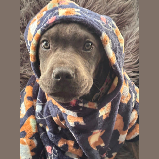 Photo of Enza