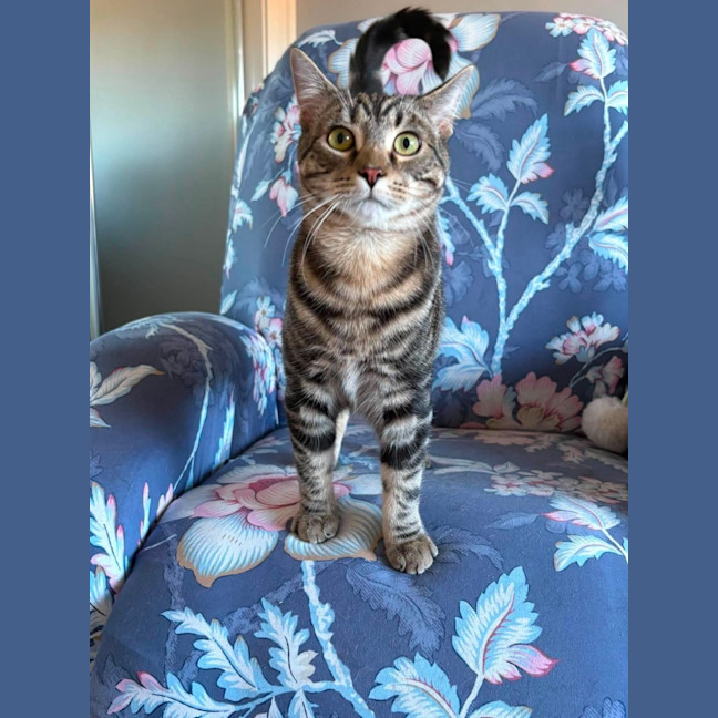 Photo of Albert