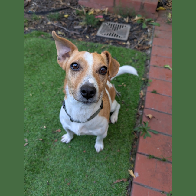 Photo of Chip Douglas