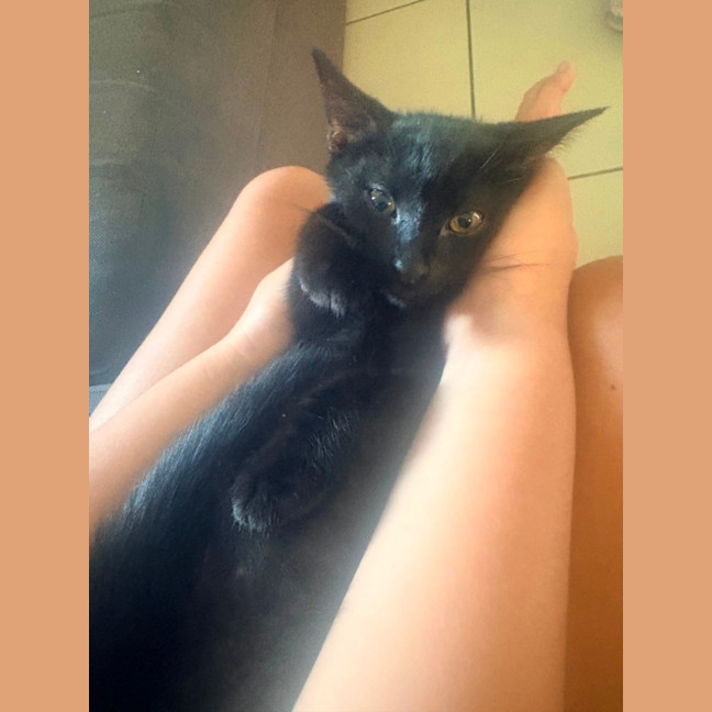 Photo of Salem